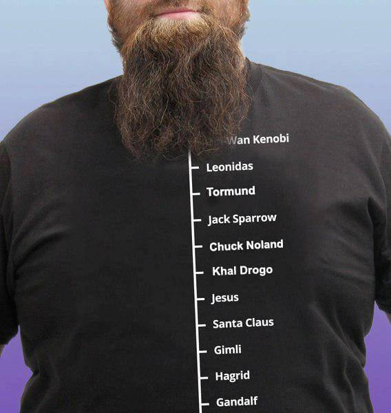 Beard Lengths T-Shirt | The Perfect Gift for a Pop Culture Fan |